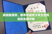 探索未来职场新钥匙，新布伦瑞克大学文凭的全新价值面面观
