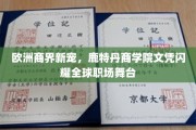跨国职场新贵，鹿特丹商学院学历成为全球竞争利器