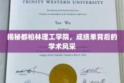 都柏林理工学院，成绩单背后，一探学术璀璨之光