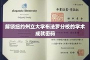 揭秘布法罗分校，解码学术卓越之谜