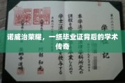 诺威治传奇，毕业证书背后的学术辉煌之旅