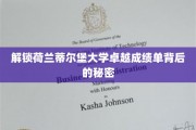 揭秘荷兰蒂尔堡大学学术辉煌的秘密武器