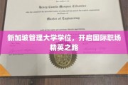 迈向全球精英，新加坡管理大学学位引领职场飞跃