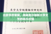 北欧教育之光，奥尔胡斯大学学位的卓越魅力与无限潜力