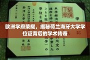 荷兰海牙大学学位证，探寻欧洲学府的荣耀轨迹