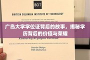广岛大学学位证，探寻学历背后的荣耀与深层价值