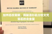 洛杉矶分校光环，解码加州名校文凭的珍贵价值