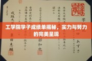 工院英才榜，辉煌成绩背后，实力与汗水交织的青春篇章