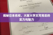 解码大阪大学，文凭背后的日本顶尖学府实力与风采