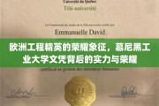 慕尼黑工业大学文凭，欧洲工程精英的荣耀名片，实力与荣誉的双重见证