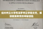 解锁精英之门，纽约州立布法罗学院文凭的非凡价值