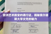 探索丹麦艺术明珠，奥尔胡斯大学文凭的独特魅力
