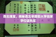 丝绸之路明珠，探秘西北拿撒勒大学学位证书魅力