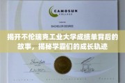 揭开不伦瑞克工业大学成绩单背后的故事，揭秘学霸们的成长轨迹