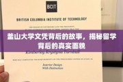 留学背后，釜山大学文凭的传奇历程