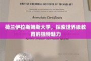 解码荷兰伊拉斯姆斯大学，全球教育前沿的璀璨明珠