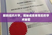 纽约大学成绩单揭秘，探寻学术卓越的神秘面纱