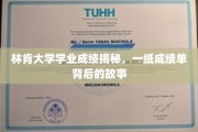 揭开林肯大学成绩单之谜，探寻学业背后的真实故事