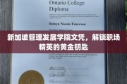 新加坡MDI文凭，助力职场精英开启成功之门