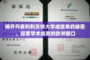 欧洲精英学府利利贝特大学，揭秘成绩单背后的学术奥秘
