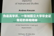 学历造假大揭秘，一张假立大毕业证背后的惊心动魄故事