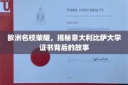 探寻比萨荣耀，揭秘意大学术证书的传奇历程