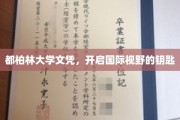 跨越国界，都柏林大学文凭开启全球视野之旅