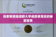 揭秘斯塔福德郡大学成绩单，揭开学术成就的神秘面纱