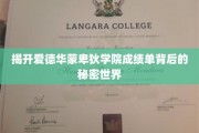 蒙卑狄学院成绩单之谜，探索不为人知的学霸传奇