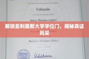 亚利桑那大学学位之谜，探秘背后的辉煌成就
