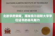 解锁北欧精英教育，奥尔胡斯大学学位证书的独到风采