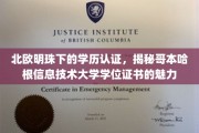 哥本哈根信息技术大学学位证书，北欧明珠中的学术瑰宝