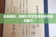 台岛瑰宝，阳明大学学历的非凡魅力与深层价值