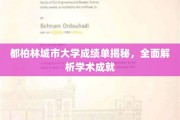 解码都柏林城市大学，揭开学术成就的秘密面纱