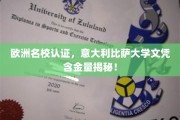 欧洲精英学府认证，揭秘意大利比萨大学文凭的全球含金价值