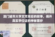 澳门城大文凭探秘，一纸学位证背后的传奇与真相