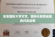 东京国际大学文凭，跨国教育成就的璀璨凭证