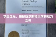学历璀璨，一探厄尔斯特大学的卓越文凭魅力