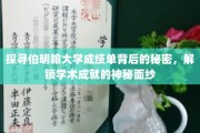 伯明翰大学成绩单揭秘，解码学术卓越的神秘密码