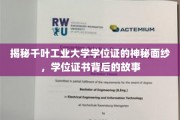 千叶工业大学学位证之谜，揭开证书背后的传奇故事