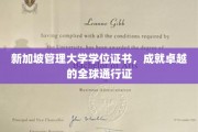 新加坡管理大学学位，开启国际舞台的璀璨通行证
