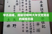 切斯特大学学位传奇，揭秘其学历巅峰背后的辉煌篇章