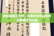 解码狮城精英，新加坡国立大学荣誉证书背后的传奇故事