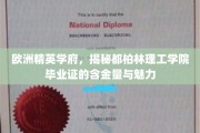 都柏林理工学院毕业证，欧洲精英学府的黄金通行证，魅力无限