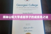山梨大学精英学子成绩单背后的惊人秘密大起底