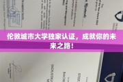伦敦城市大学权威认证，开启璀璨职场人生新篇章！