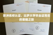 探索比萨大学荣耀证书，欧洲名校认证的非凡之旅