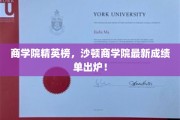 沙顿商学院新锐辈出，商学院精英榜单揭晓！