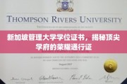 解码新加坡管理大学，学位证书背后的精英传奇