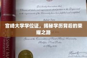宫崎大学荣耀证章，探寻学历背后的辉煌历程
